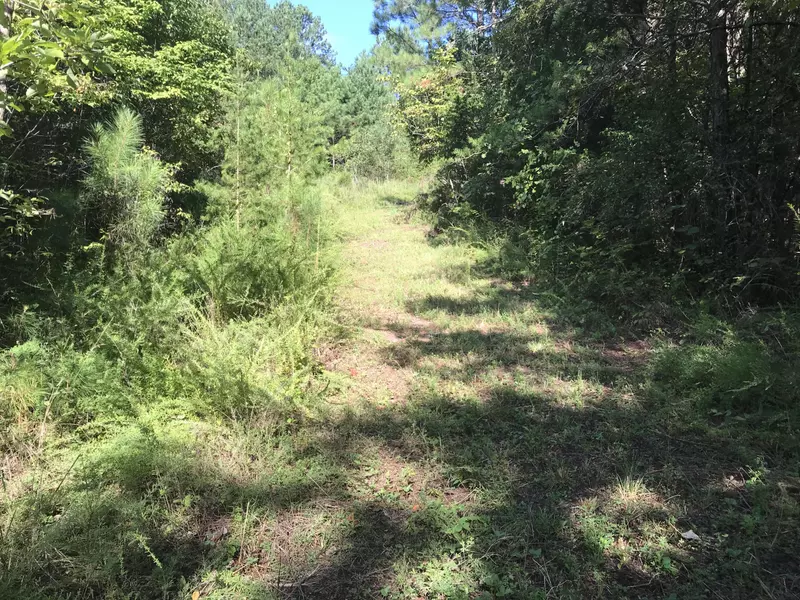 39.9 ac.  Boiling Springs Rd., Vonore, TN 37885