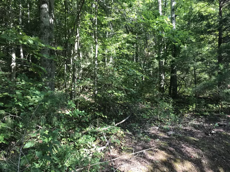 1 Mt. Pleasant Rd, Tellico Plains, TN 37385