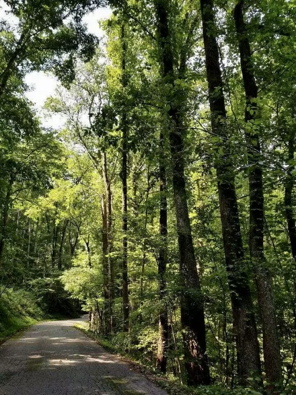 Townsend, TN 37882,Old Cades Cove Lot 35 Rd