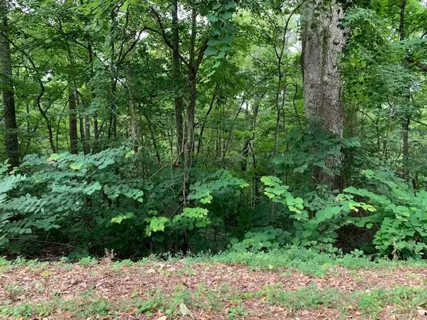 Lot 24 Booker Rd, Maynardville, TN 37807