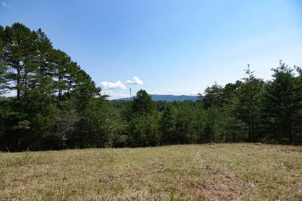 Newport, TN 37821,Melody Lane LN