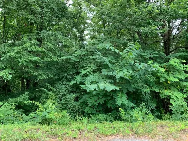 Lot 28 Booker Rd, Maynardville, TN 37807