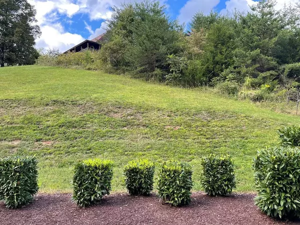 Sevierville, TN 37876,lot 43 Wedge Tailed LN