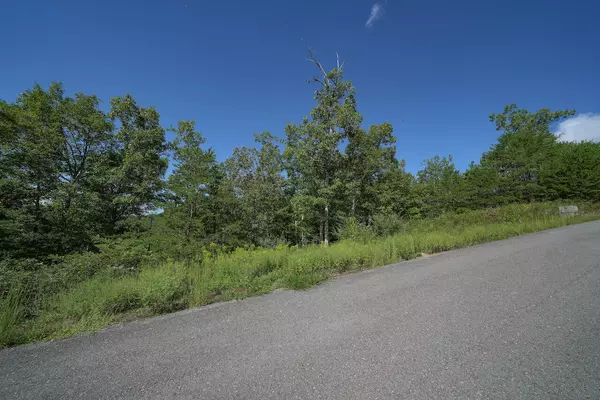 Lot 12 Mountain Ash Way, Sevierville, TN 37876