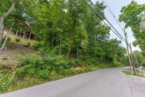 Gatlinburg, TN 37738,Arbon DR