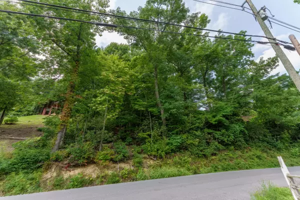 Gatlinburg, TN 37738,Arbon DR