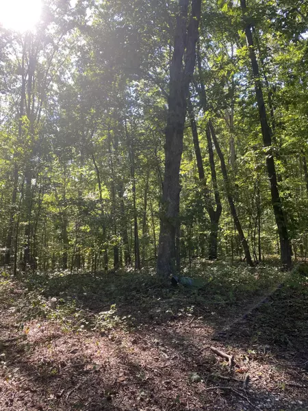 1105 Hattley Rd, Lenoir City, TN 37771
