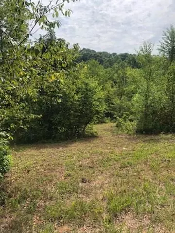 Lot 1 Old Liberty Hill Rd, Morristown, TN 37814