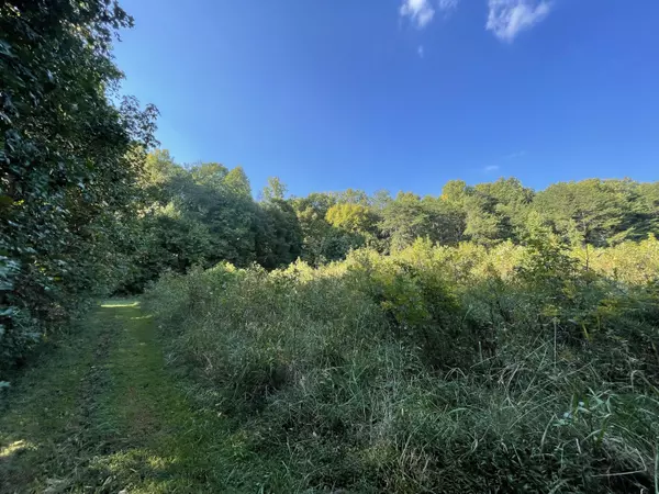 5acres Sane Rd, Parrottsville, TN 37843