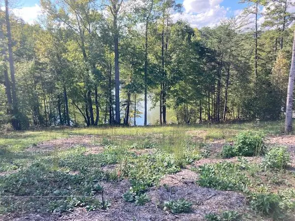 Harriman, TN 37748,Blue Heron Bluff Rd #Lot 60