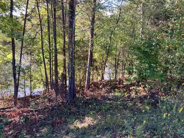 Blue Heron Bluff DR #Lot 61, Harriman, TN 37748