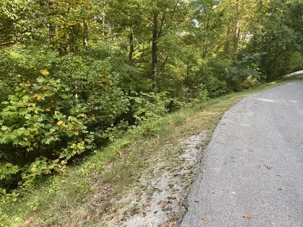 Lafollette, TN 37766,Lot 4 Shanghai Landing LN