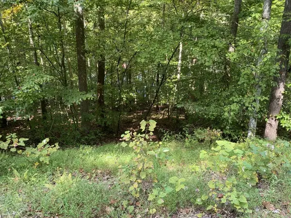 Lafollette, TN 37766,Lot 4 Shanghai Landing LN