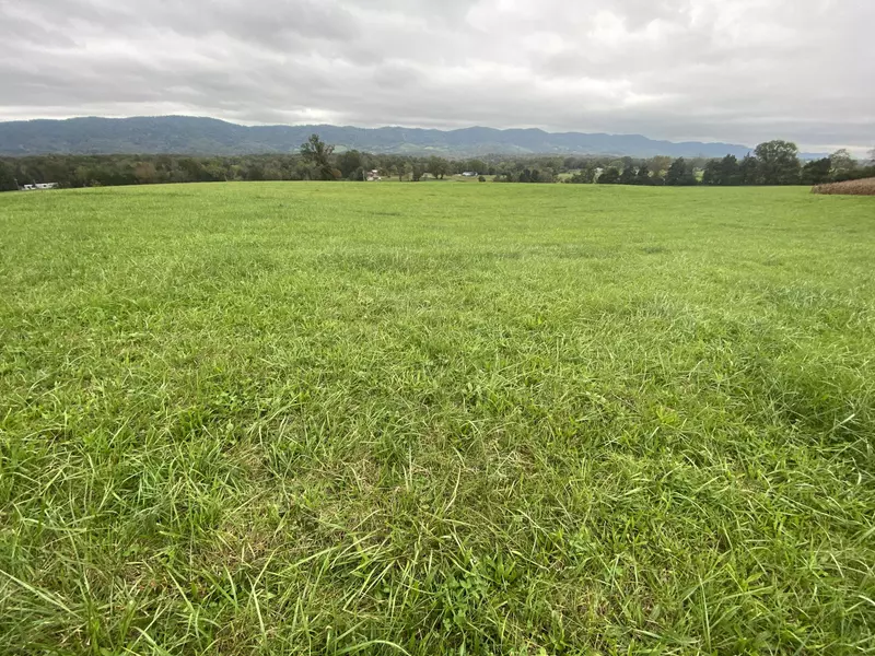 TBD Flatwoods Rd, Jonesville, VA 24263