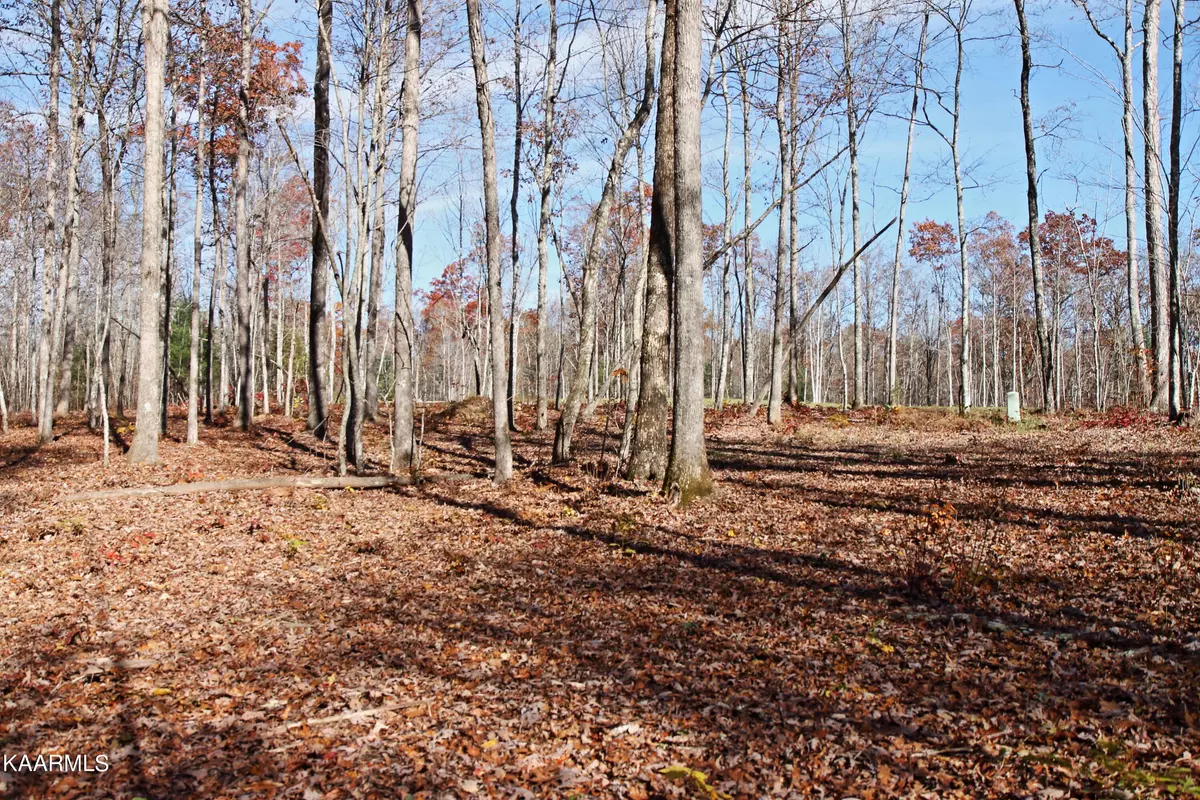 Jamestown, TN 38556,lot 576 Spruce Creek DR