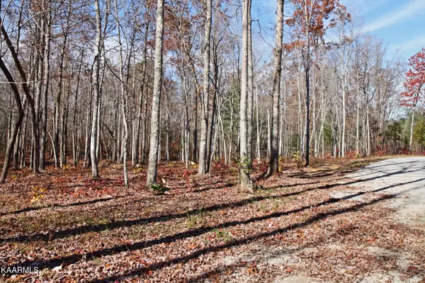 Jamestown, TN 38556,lot 576 Spruce Creek DR