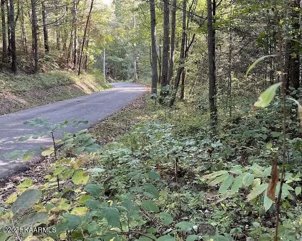 Rafter Rd, Tellico Plains, TN 37385