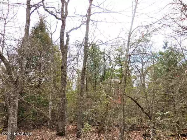 Lot 169 Seca DR, Crossville, TN 38572