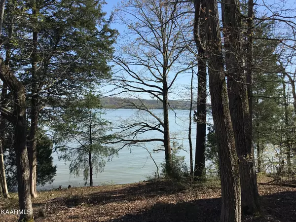 Rockwood, TN 37854,Lot 109 Shore LN