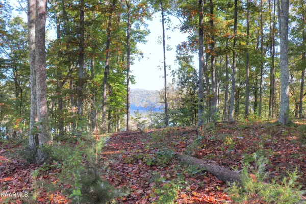 Loudon, TN 37774,Lot 224 Eagle Nest DR