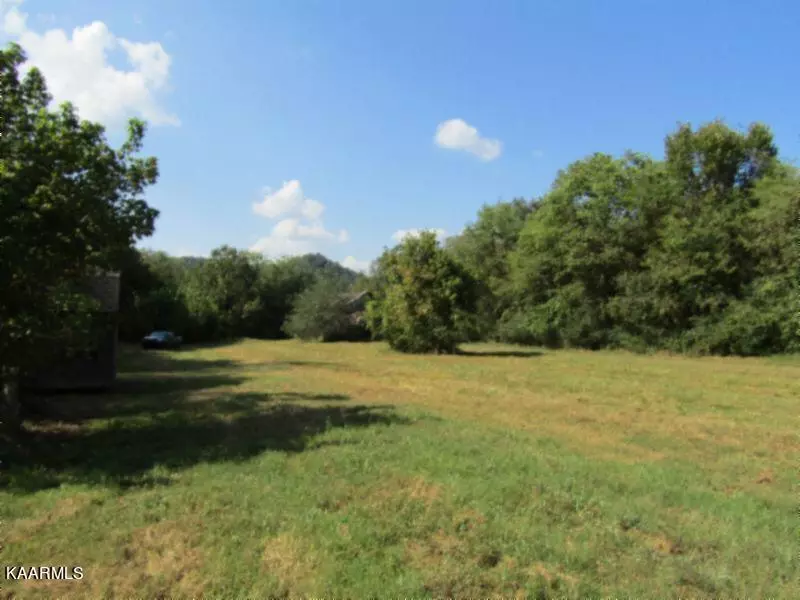 Gainesboro, TN 38562,83ac Old Hwy 53 LN