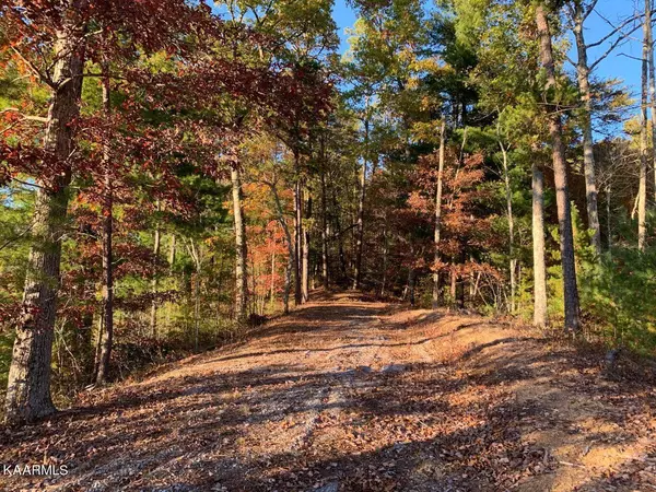 Walland, TN 37886,Lot 1w Long Rifle Rd