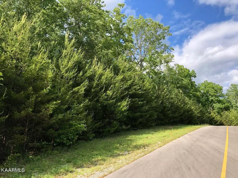 Lot 22wr Hawken DR, Walland, TN 37886