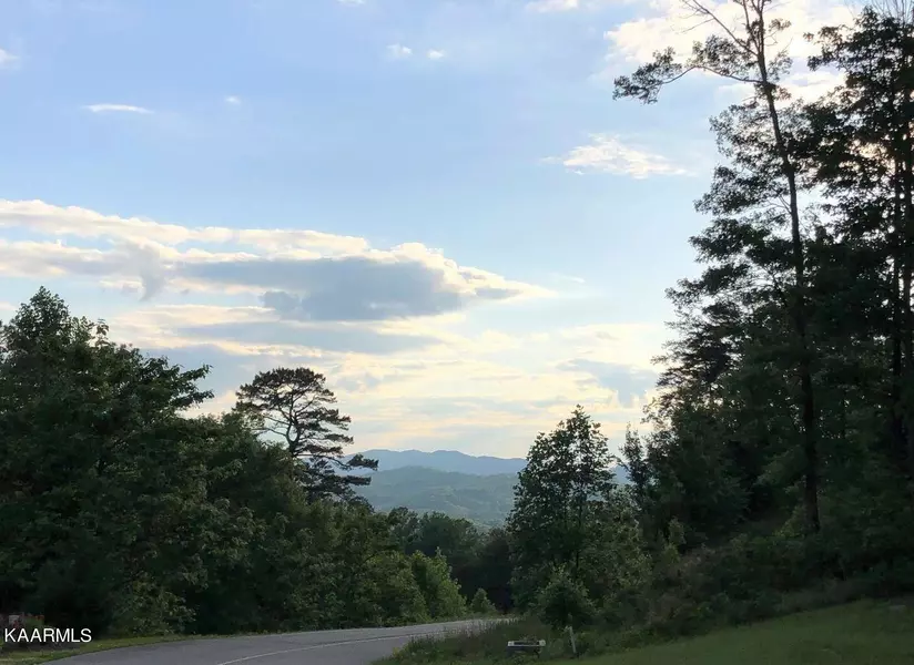 Lot 86w Long Rifle Rd, Walland, TN 37886