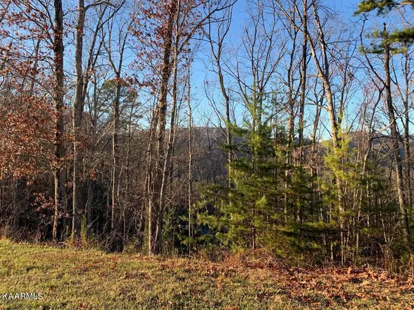 Walland, TN 37886,Lot 86w Long Rifle Rd