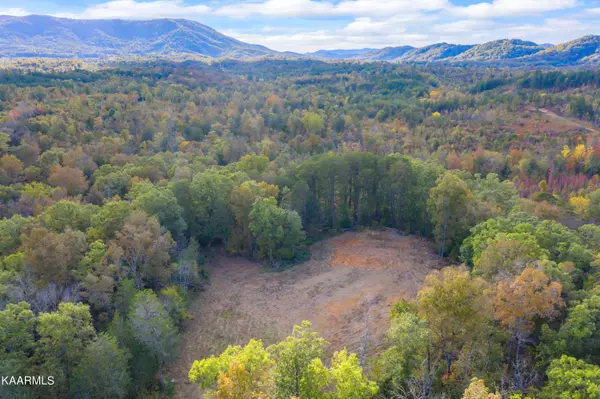 Tellico Plains, TN 37385,650 Shaddon Rd