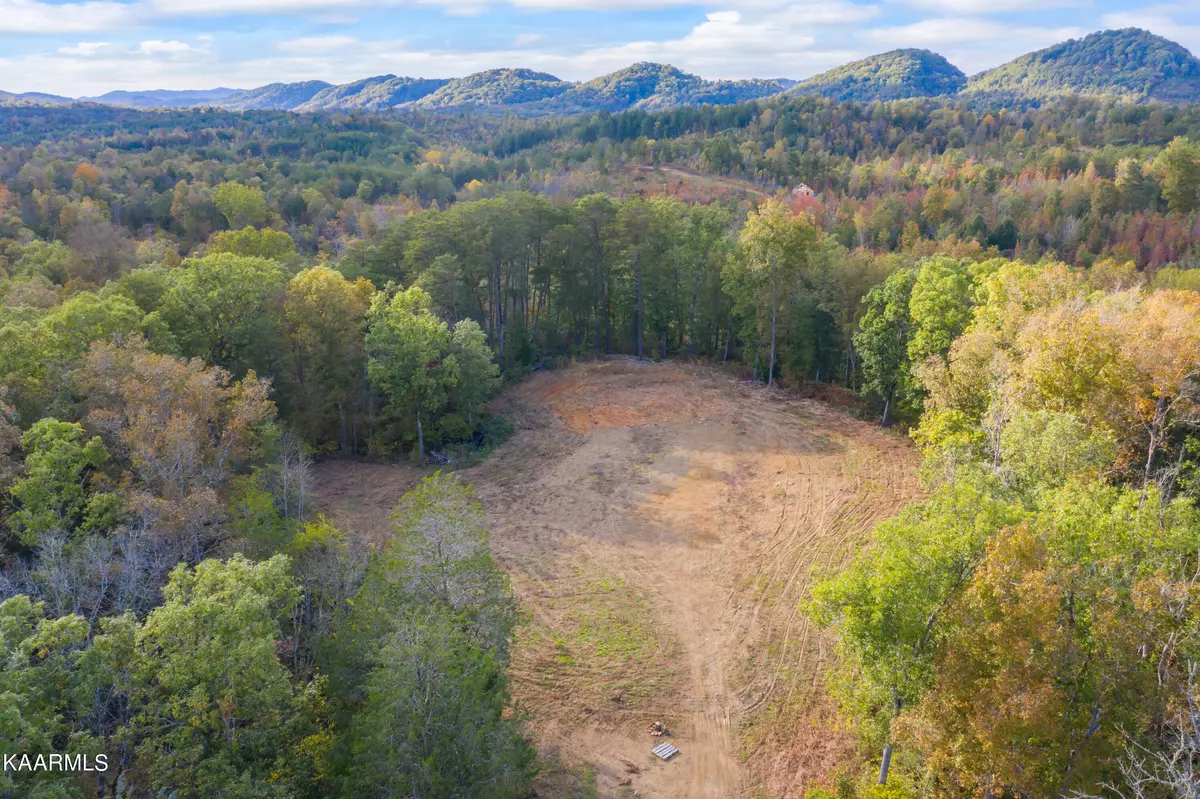 Tellico Plains, TN 37385,650 Shaddon Rd