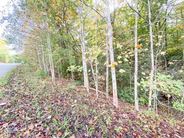 Fairfield Glade, TN 38558,17 Wexford LN