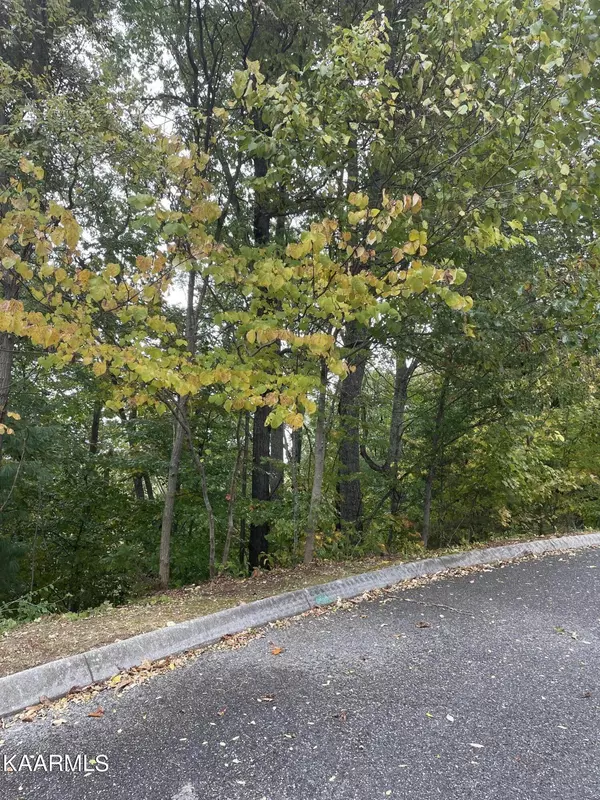 Sevierville, TN 37862,Maggie Mack Ln, Lot 6