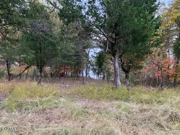 Rockwood, TN 37854,Shore lot 107 DR