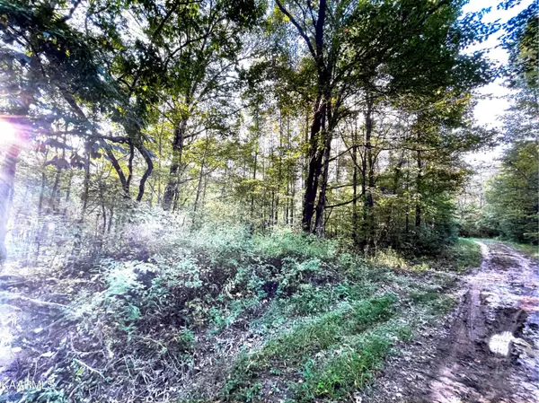 Oneida, TN 37841,Buffalo Rd