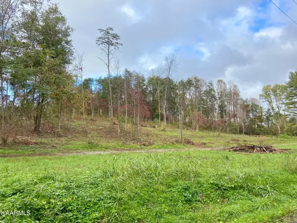 2.5 acres Dixie Lee Highway Hwy, Spring City, TN 37381