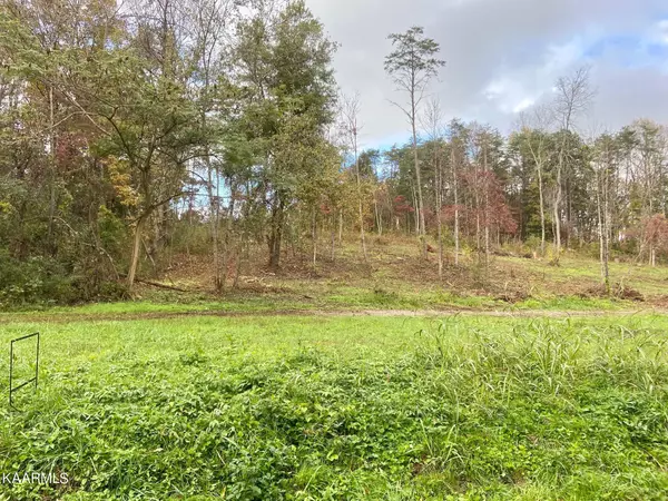 Spring City, TN 37381,2.5 acres Dixie Lee Highway Hwy