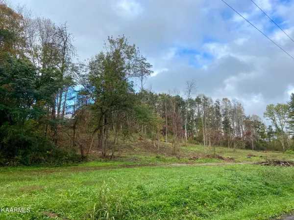 Spring City, TN 37381,2.5 acres Dixie Lee Highway Hwy