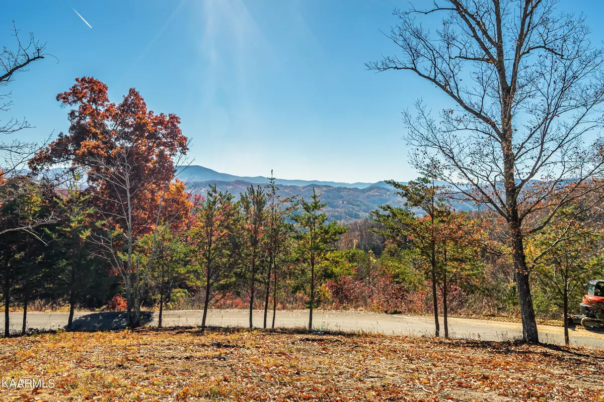 Sevierville, TN 37862,Lot 25 Summit Trails DR