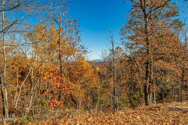 Sevierville, TN 37862,Lot 25 Summit Trails DR