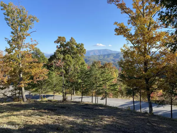 Sevierville, TN 37862,Lot 25 Summit Trails DR