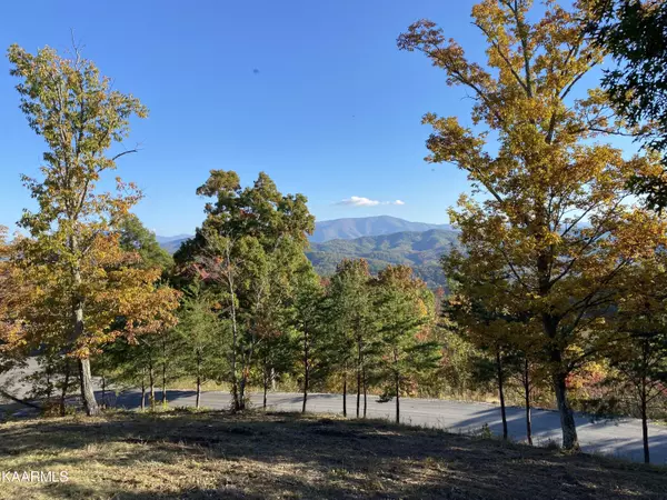 Sevierville, TN 37862,Lot 25 Summit Trails DR