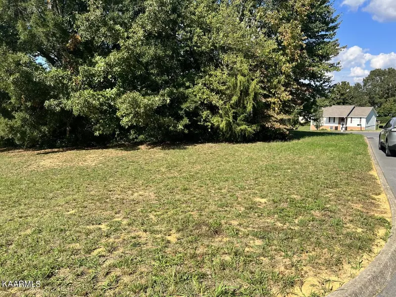 Nichole Street St, White Pine, TN 37890