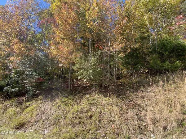 Pin Oak DR, Rockwood, TN 37854