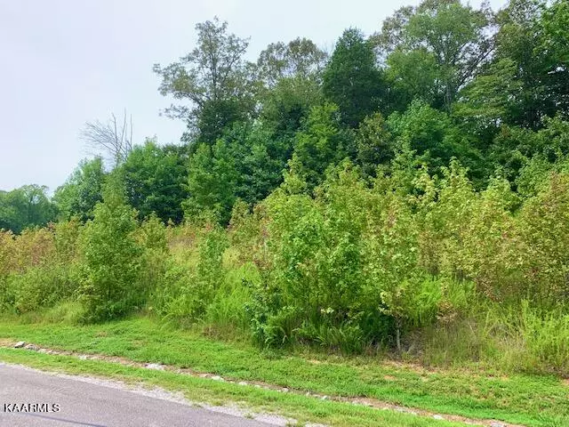 E. Shore, Lot 153, Rockwood, TN 37854