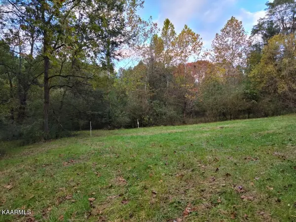 Spring City, TN 37381,10.5 Acres Dawn Drive