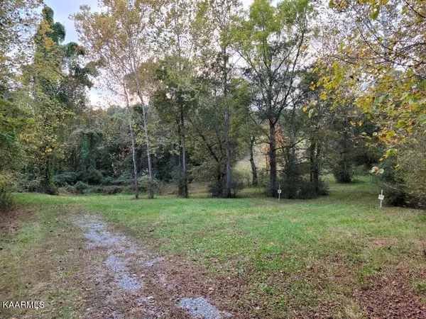 10.5 Acres Dawn Drive, Spring City, TN 37381