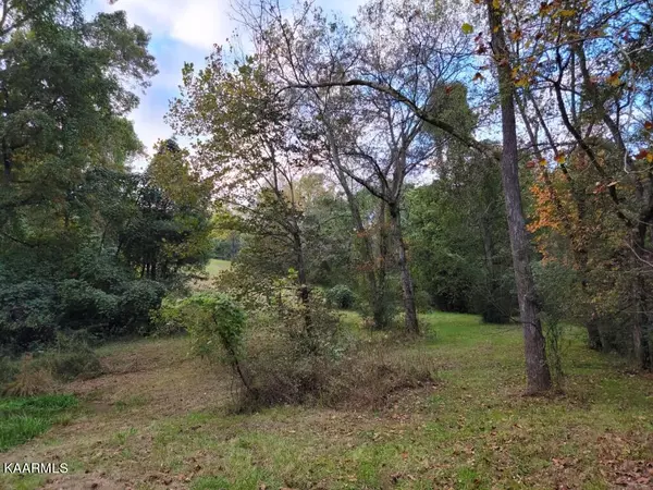 Spring City, TN 37381,10.5 Acres Dawn Drive