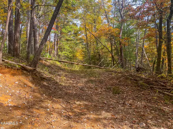 Amarlee WAY #Tr2, Sevierville, TN 37876