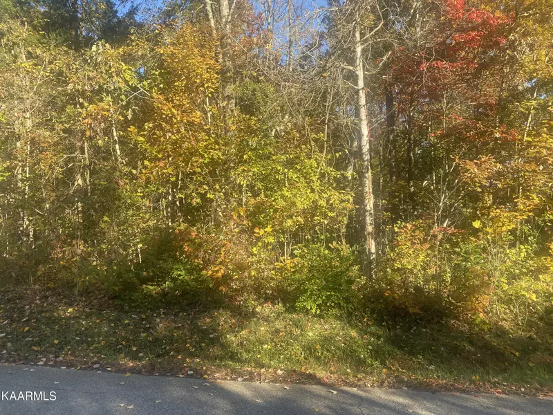 Lot 24 Scenic Hill LN, Lenoir City, TN 37771